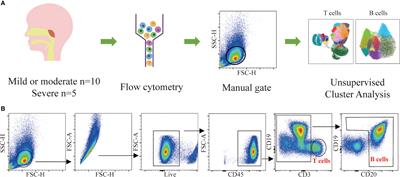 Adenoid lymphocyte heterogeneity in pediatric adenoid hypertrophy and obstructive sleep apnea